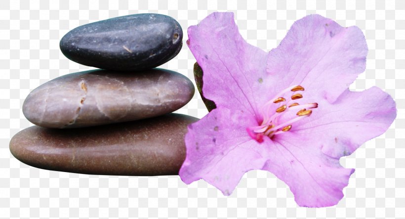 Clip Art, PNG, 1700x919px, Spa, Aromatherapy, Beauty Parlour, Bella Luna Holistic Spa Therapies, Facial Download Free
