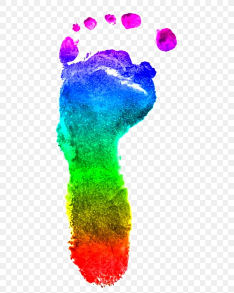 Color Footprint Rainbow Clip Art, PNG, 480x1024px, Color, Drawing, Foot, Footprint, Organism Download Free
