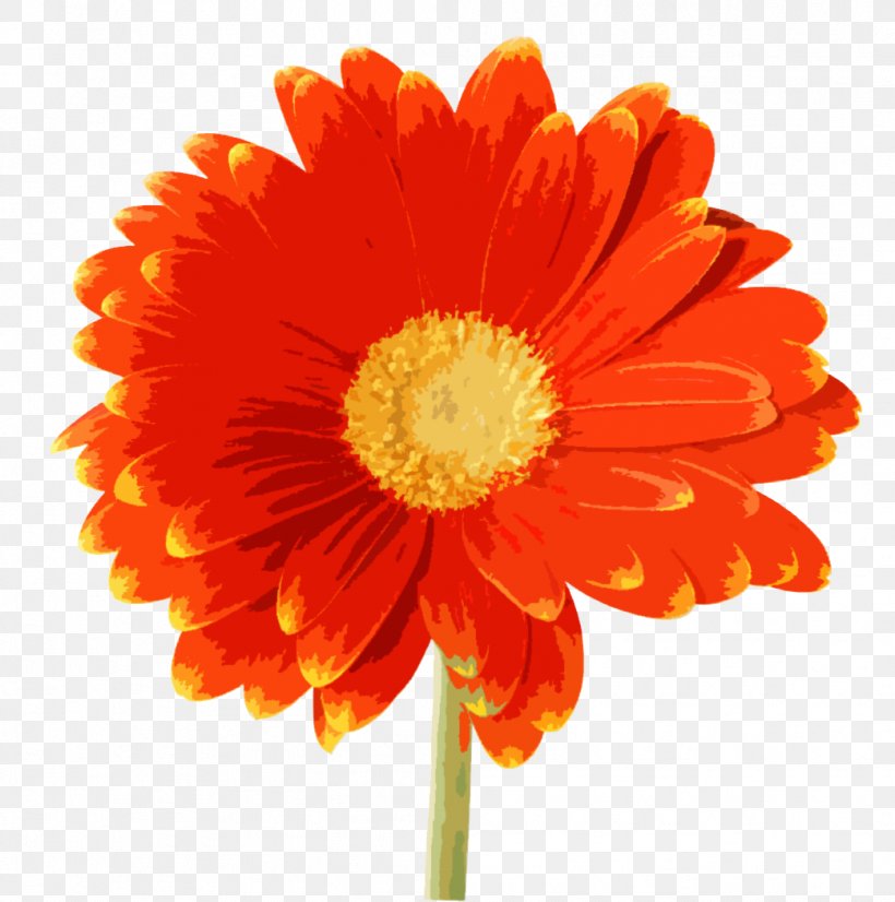 YouTube Hi5 Friendster, PNG, 1042x1050px, Youtube, Annual Plant, Blog, Calendula, Chrysanths Download Free
