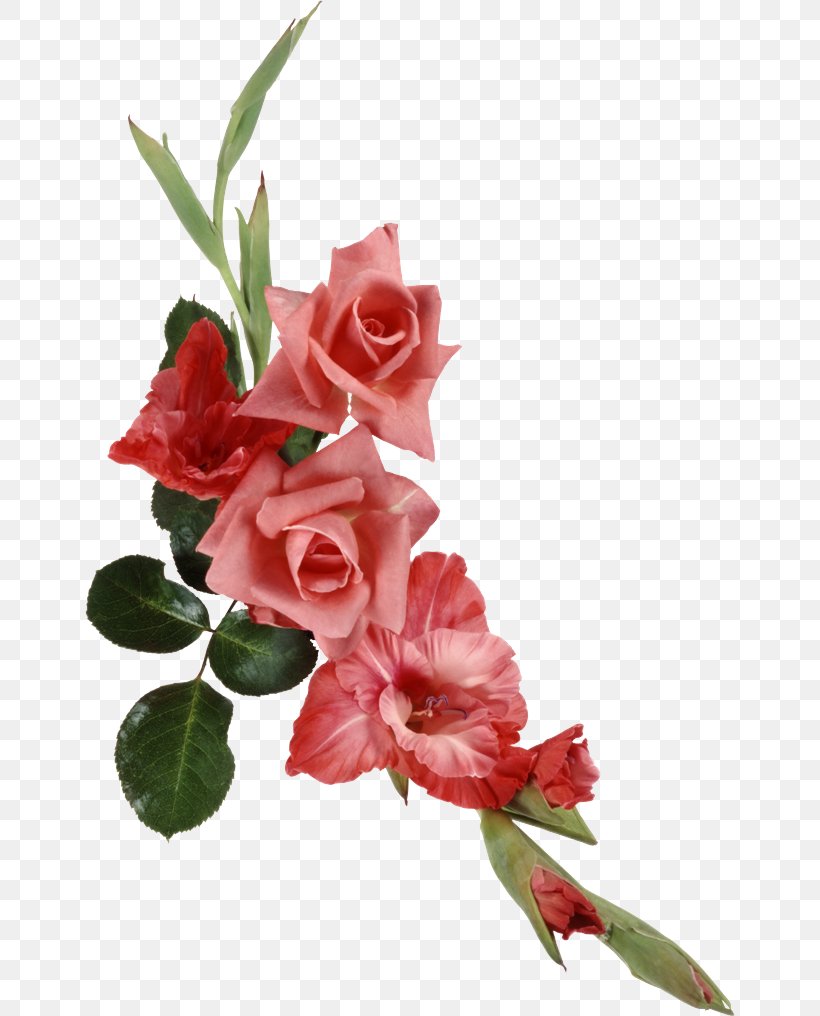 Garden Roses, PNG, 650x1016px, Flower, Bouquet, Cut Flowers, Garden Roses, Petal Download Free