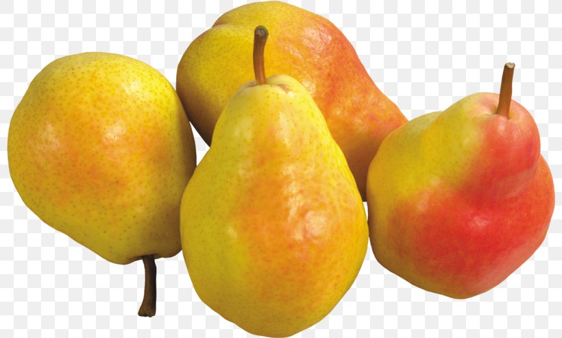 Pear Fruit Clip Art, PNG, 800x493px, Pear, Accessory Fruit, Amygdaloideae, Apple, Diet Food Download Free