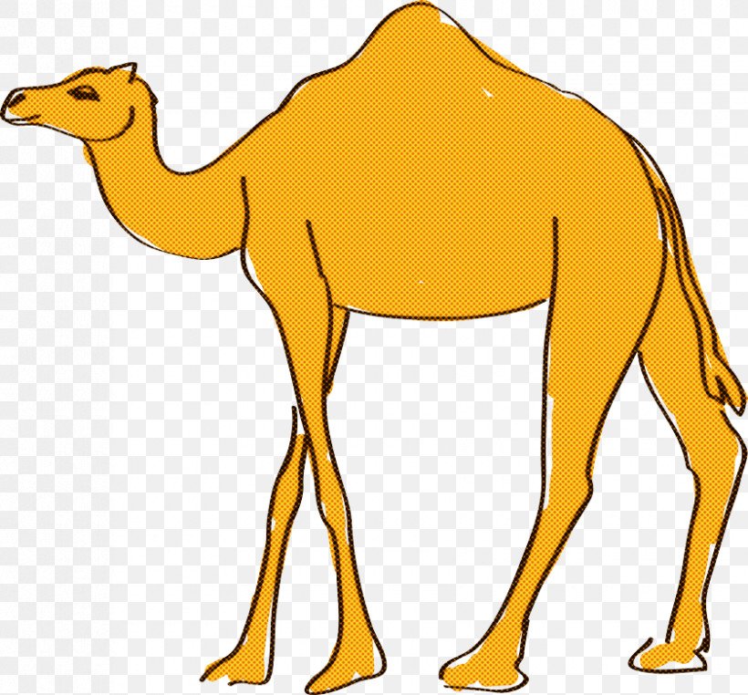 Dromedary Cartoon Drawing Action Figure Mascot, PNG, 840x781px, Dromedary, Action Figure, Animal Figurine, Camels, Cartoon Download Free