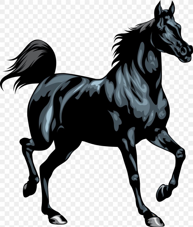 Friesian Horse Stallion Black Clip Art, PNG, 3469x4091px, Friesian Horse, Bit, Black, Black And White, Bridle Download Free