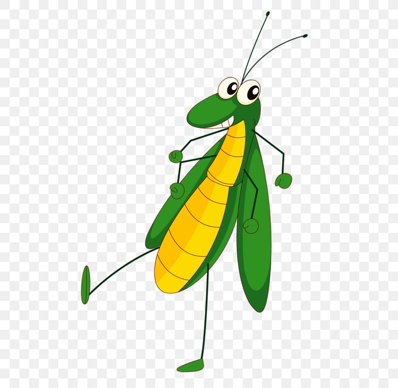 Insect Cartoon Drawing Clip Art, PNG, 561x800px, Insect, Arthropod, Cartoon, Drawing, Grasshopper Download Free
