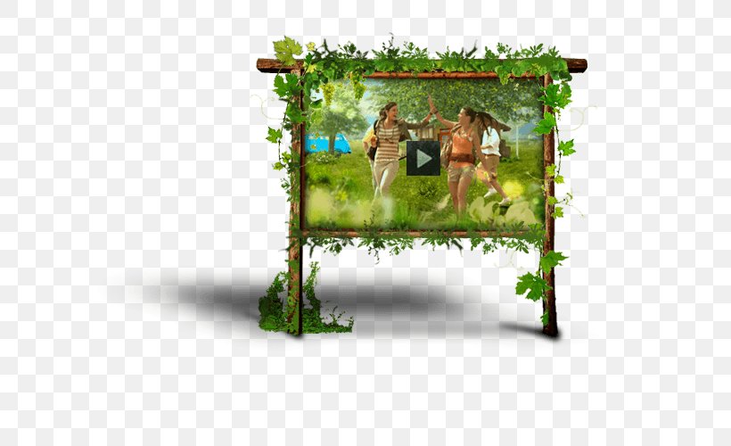 Picture Frames Tree, PNG, 622x500px, Picture Frames, Flora, Grass, Picture Frame, Plant Download Free