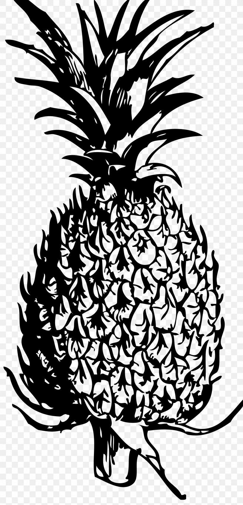 Pineapple Black And White Clip Art, PNG, 2555x5317px, Pineapple, Arecales, Artwork, Black, Black And White Download Free