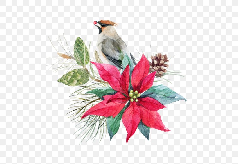 Poinsettia Cut Flowers Christmas, PNG, 600x565px, Poinsettia, Beak, Bird, Cardinal, Christmas Download Free