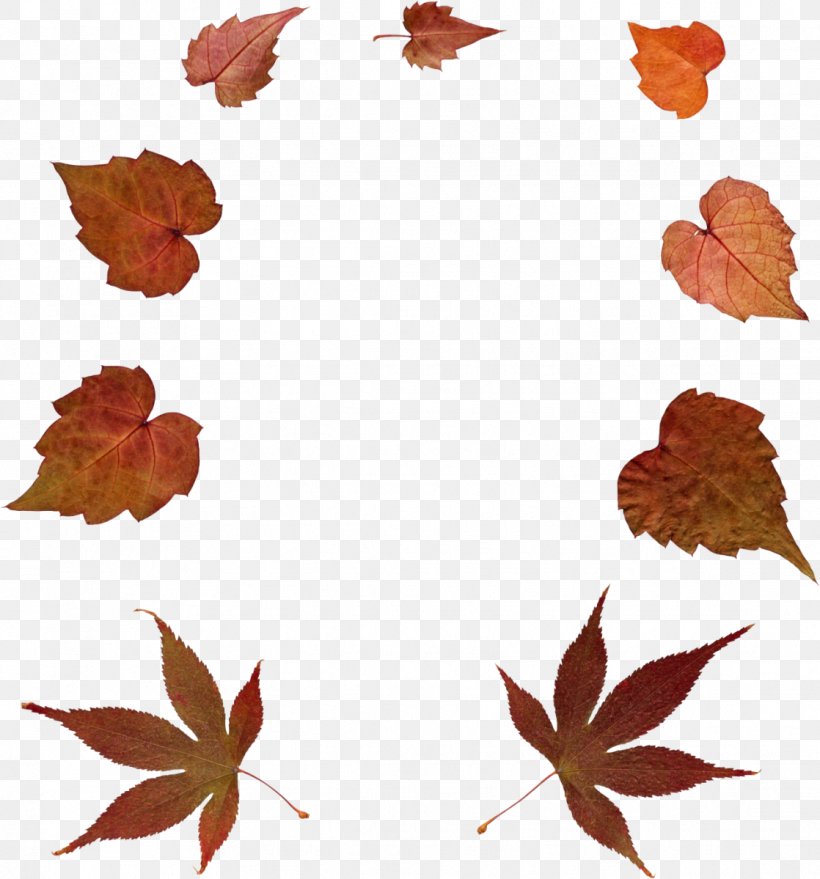 Stock Photography Autumn Clip Art, PNG, 1118x1199px, Photography, Art, Autumn, Branch, Flower Download Free