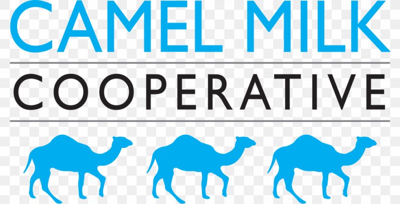 Camel Milk Powdered Milk Pasteurisation Bactrian Camel, PNG, 1004x512px, Camel Milk, Area, Bactrian Camel, Blue, Bottle Download Free