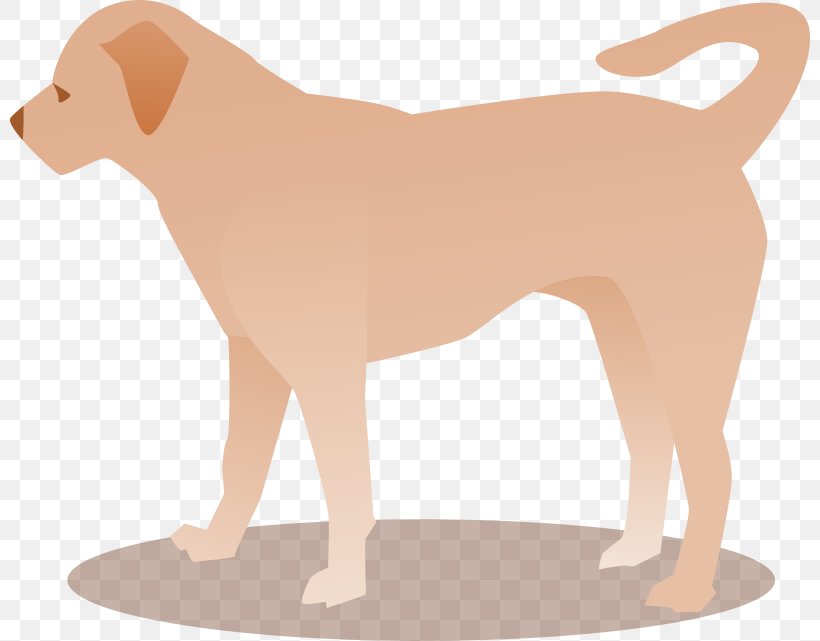 Dog Breed Puppy Sporting Group Companion Dog, PNG, 800x641px, Dog Breed, Bark, Breed, Breed Group Dog, Carnivoran Download Free