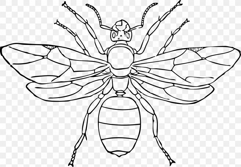 Queen Ant Insect Drawing Clip Art, PNG, 2400x1666px, Ant, Artwork, Black And White, Brush Footed Butterfly, Coloring Book Download Free