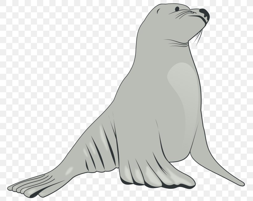 Sea Lion Elephant Seal Clip Art, PNG, 800x654px, Sea Lion, Animal, Animal Figure, Beak, Carnivoran Download Free
