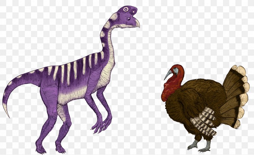 Velociraptor Fauna Extinction Feather Animal, PNG, 1716x1050px, Velociraptor, Animal, Animal Figure, Beak, Dinosaur Download Free