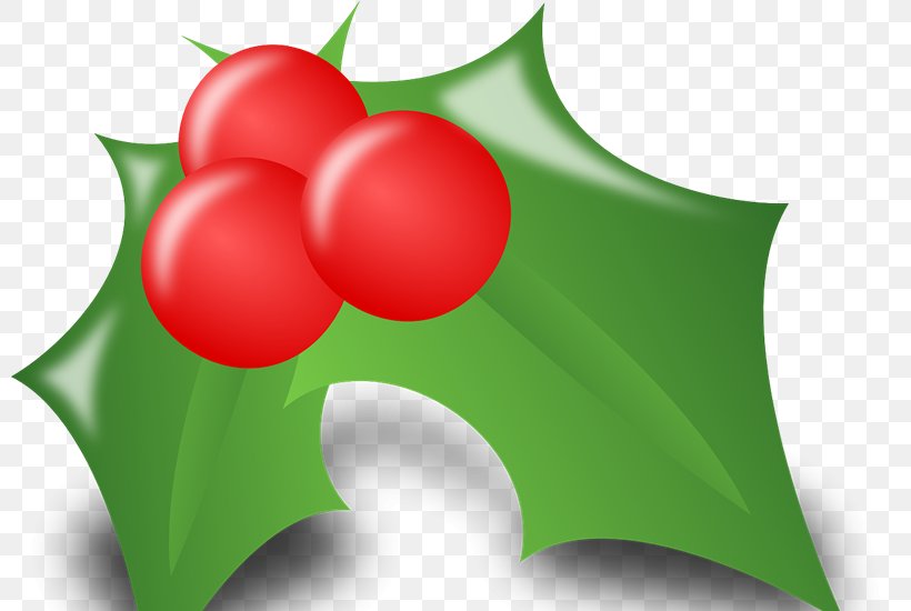 Christmas Ornament Gift Christmas Decoration Clip Art, PNG, 800x550px, Christmas, Aquifoliaceae, Aquifoliales, Blog, Christmas Decoration Download Free