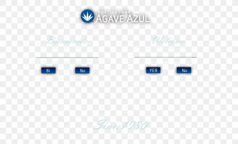 Destiladora Agave Azul Tequila San Juanito Brand, PNG, 990x600px, Destiladora Agave Azul, Agave, Agave Azul, Brand, Diagram Download Free