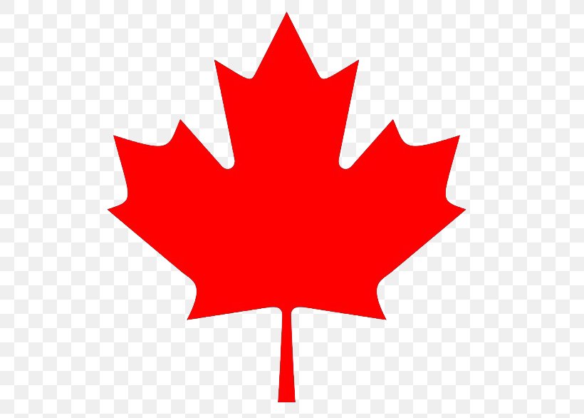 Maple Leaf Canada Clip Art, PNG, 568x586px, Maple Leaf, Canada, Flag Of Canada, Flower, Flowering Plant Download Free