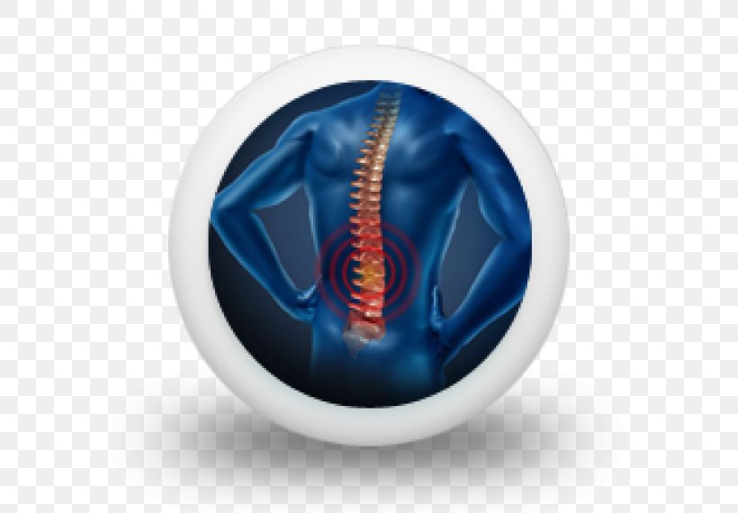 Pain In Spine Low Back Pain Human Back Neck Pain Lumbar, PNG, 570x570px, Low Back Pain, Chiropractic, Electric Blue, Human Back, Lumbar Download Free