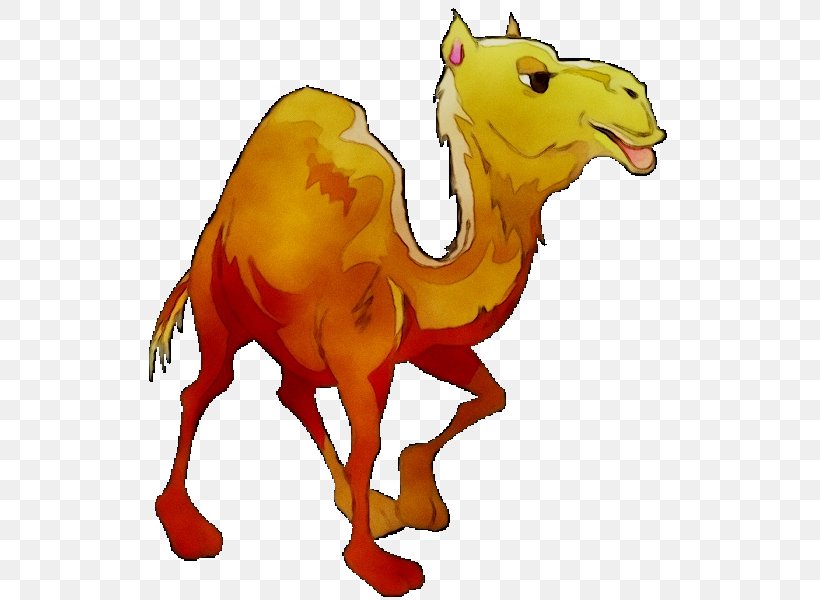Bactrian Camel Vector Graphics Clip Art Illustration, PNG, 600x600px, Bactrian Camel, Animal Figure, Arabian Camel, Art, Camel Download Free
