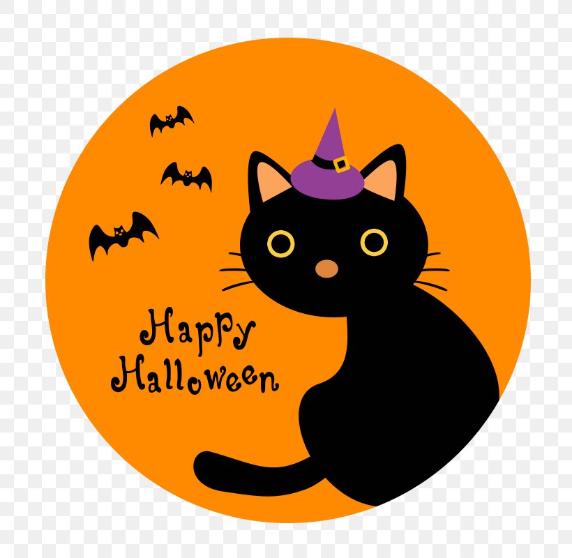 Black Cat Whiskers Halloween Clip Art, PNG, 800x800px, Black Cat, Carnivoran, Cat, Cat Like Mammal, Greeting Note Cards Download Free