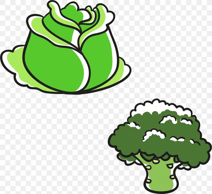 Cabbage Broccoli Leaf Vegetable, PNG, 1356x1242px, Cabbage, Amphibian, Area, Brassica Oleracea, Broccoli Download Free