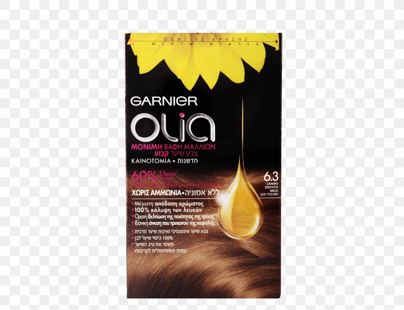 Garnier Hair Coloring Oil Hair Permanents & Straighteners, PNG, 1300x1000px, Garnier, Auburn Hair, Blond, Brand, Capelli Download Free