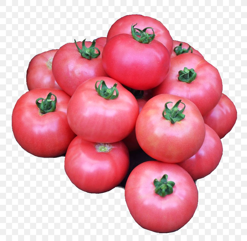 Plum Tomato Bush Tomato Heirloom Tomato Determinate Cultivar, PNG, 800x800px, Plum Tomato, Accessory Fruit, Acerola, Acerola Family, Apple Download Free