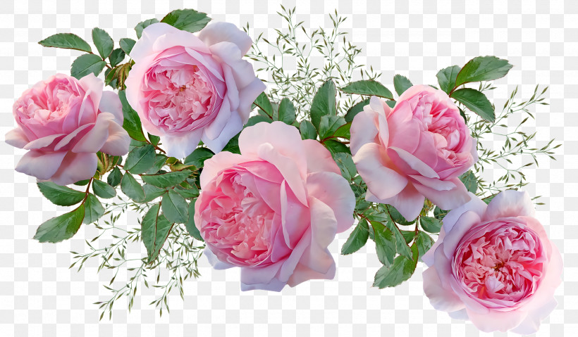 Garden Roses, PNG, 2560x1496px, Garden Roses, Artificial Flower, Cabbage Rose, Cut Flowers, Floral Design Download Free