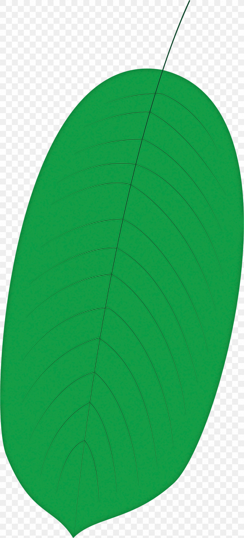 Leaf Green Biology Plant Structure Science, PNG, 1348x2973px, Leaf, Biology, Green, Plant Structure, Plants Download Free