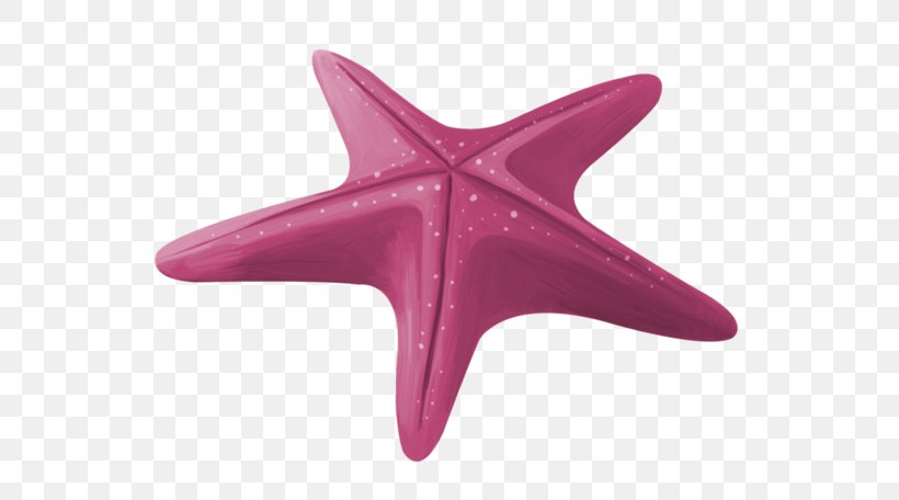 Starfish Pisaster Ochraceus Euclidean Vector, PNG, 600x456px, Starfish, Echinoderm, Gratis, Invertebrate, Magenta Download Free