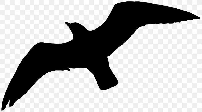 Bird Gulls Flight Silhouette, PNG, 1280x716px, Bird, Beak, Bird Flight, Black, Black And White Download Free