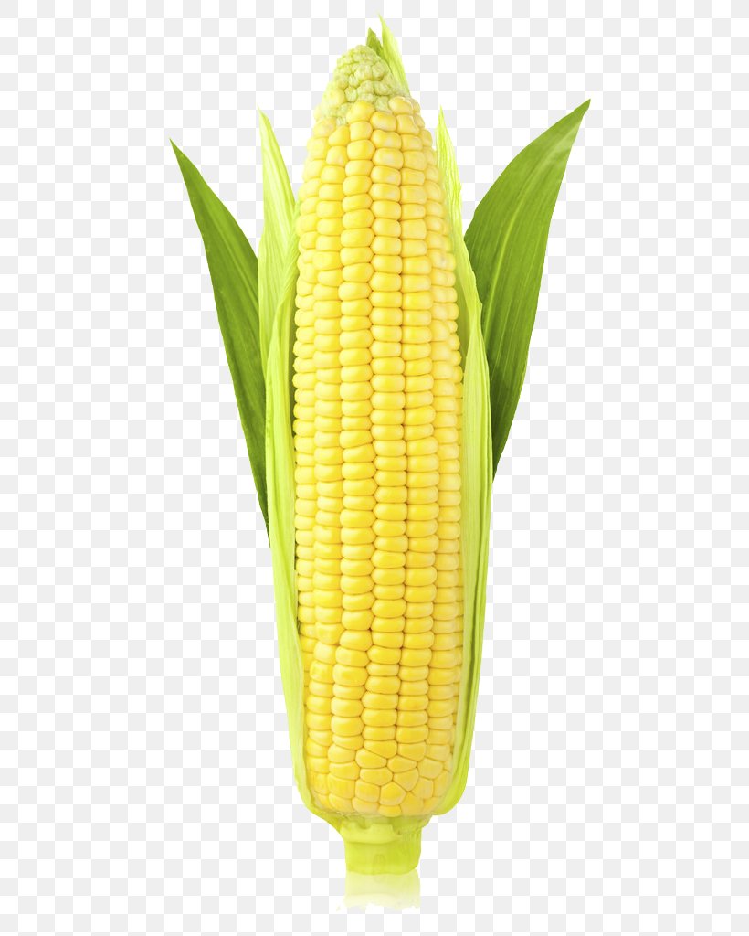 Corn On The Cob Organic Food Maize Pastel De Choclo Pudding Corn, PNG, 683x1024px, Corn On The Cob, Commodity, Corn Kernel, Corn Kernels, Corncob Download Free