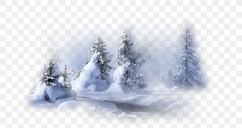 Landscape Winter Image Snow, PNG, 800x435px, Landscape, Blizzard, Cold, Conifer, Fir Download Free