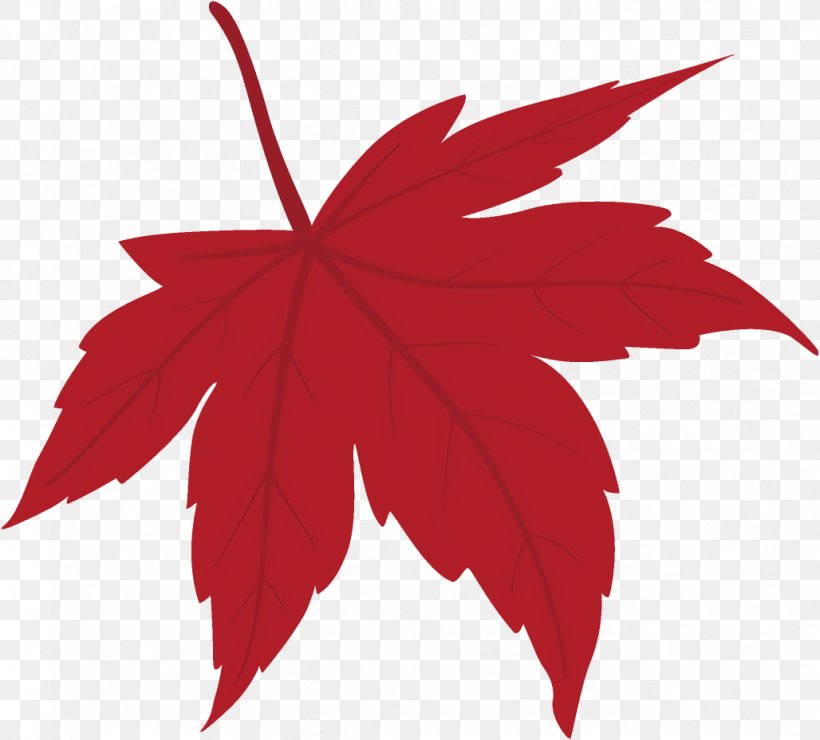 Maple Leaf Fallen Leaf Dead Leaf, PNG, 1028x928px, Maple Leaf, Autumn Leaf, Black Maple, Dead Leaf, Fallen Leaf Download Free