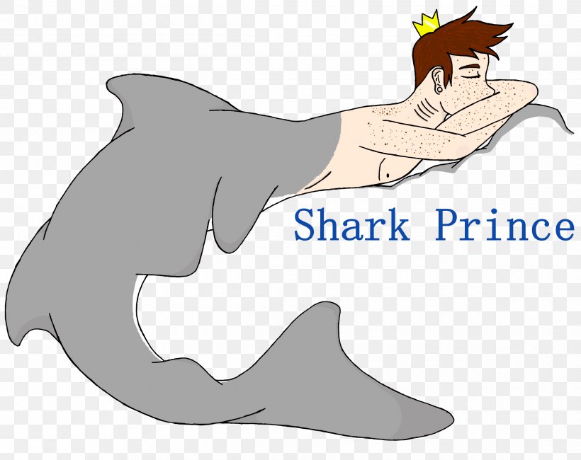 Dolphin Requiem Shark Porpoise Cetacea, PNG, 2480x1968px, Dolphin, Carnivora, Carnivoran, Cartilaginous Fish, Cartoon Download Free