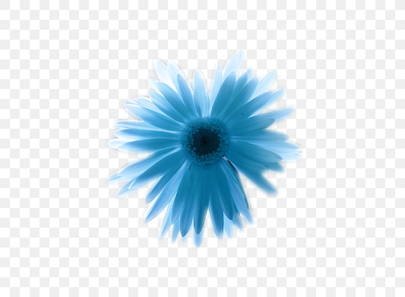 Blue Primary Color Paper Flower, PNG, 450x600px, Blue, Albom, Aster, Book, Close Up Download Free