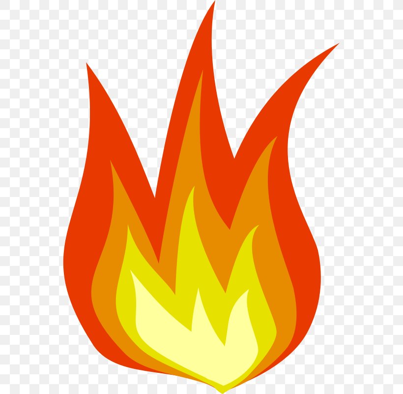 Fire Flame Clip Art, PNG, 800x800px, Fire, Blog, Combustion, Firefighter, Flame Download Free