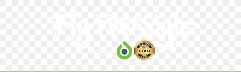 Logo Brand Green, PNG, 1000x300px, Logo, Brand, Closeup, Computer, Green Download Free