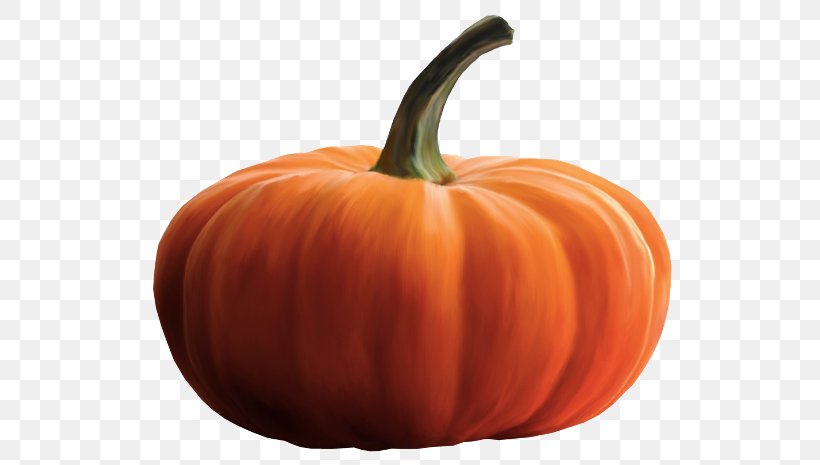 Pumpkin Calabaza Gourd Winter Squash Cucurbita, PNG, 550x465px, Pumpkin, Black, Black Cat, Calabaza, Cat Download Free