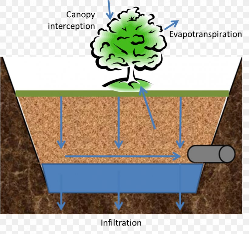 Sighing Forth My Soul: Reflections Along A Journey Of Faith Tree Cartoon Angle, PNG, 863x811px, Tree, Area, Book, Cartoon, Diagram Download Free