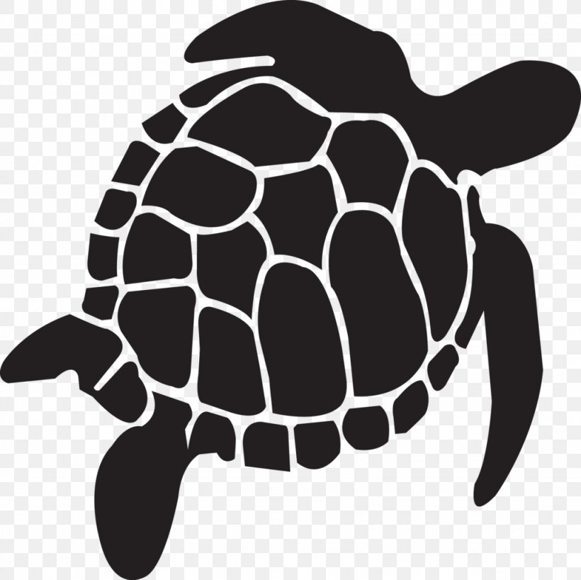 Tortoise Turtle Reptile Vector Graphics, PNG, 1024x1022px, Tortoise, Black And White, Box Turtles, Drawing, Fauna Download Free