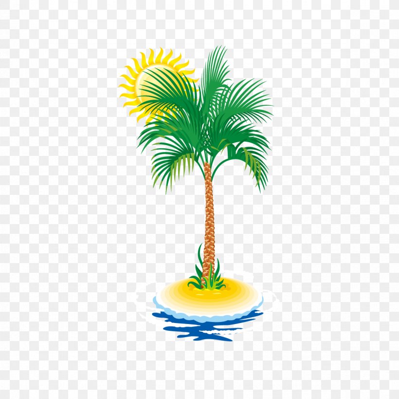 Euclidean Vector Coconut Tree Arecaceae, PNG, 1181x1181px, Arecaceae, Arecales, Coconut, Computer Graphics, Flowerpot Download Free