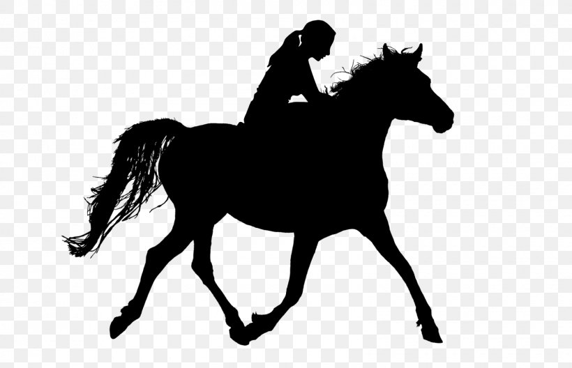 Horse Cartoon, PNG, 1600x1032px, Horse, Animal Figure, Animal Sports, Blackandwhite, Bridle Download Free