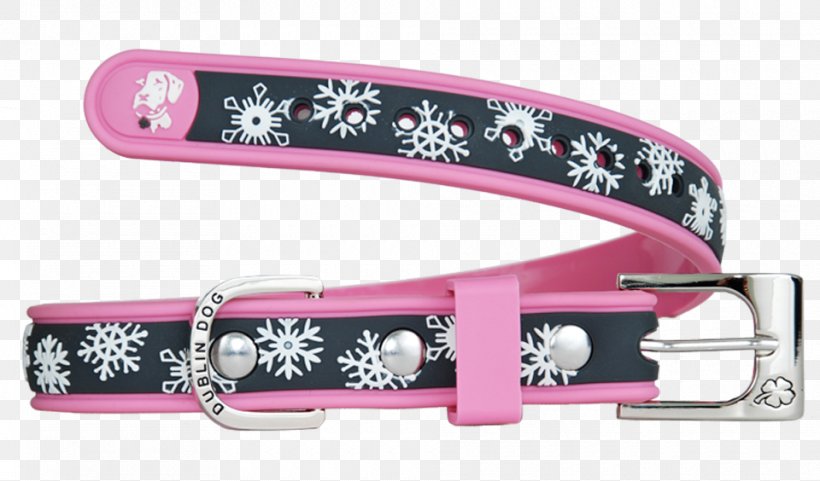 Leash Dog Collar Cat, PNG, 960x564px, Leash, Boutique, Cat, Clothing, Collar Download Free