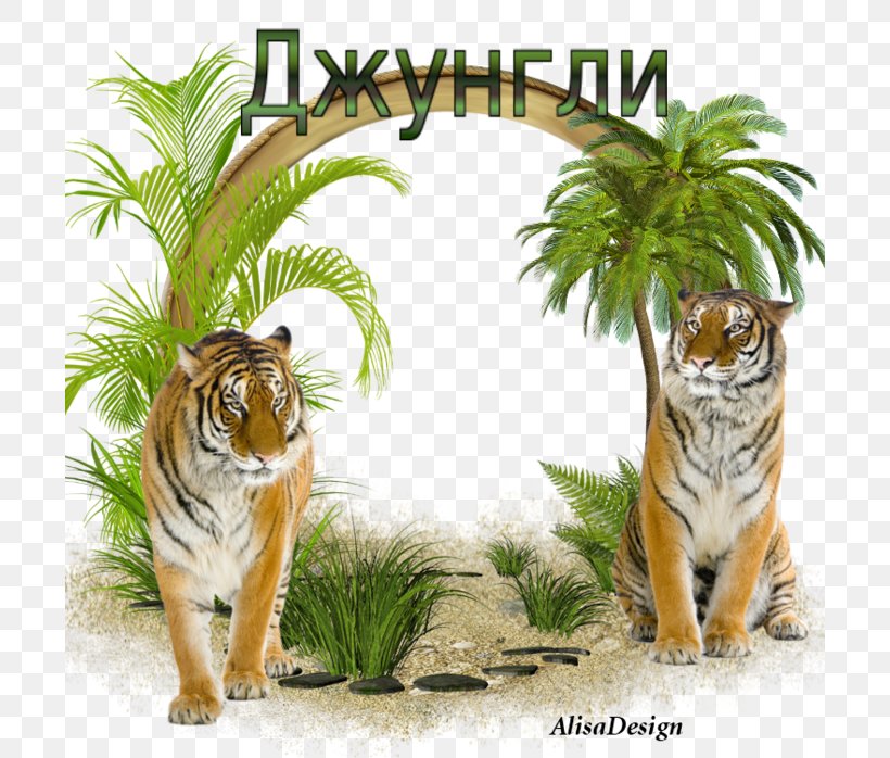 Image Sheena, Queen Of The Jungle Picture Frames, PNG, 700x698px, 2018, Jungle, Autumn, Big Cats, Carnivoran Download Free