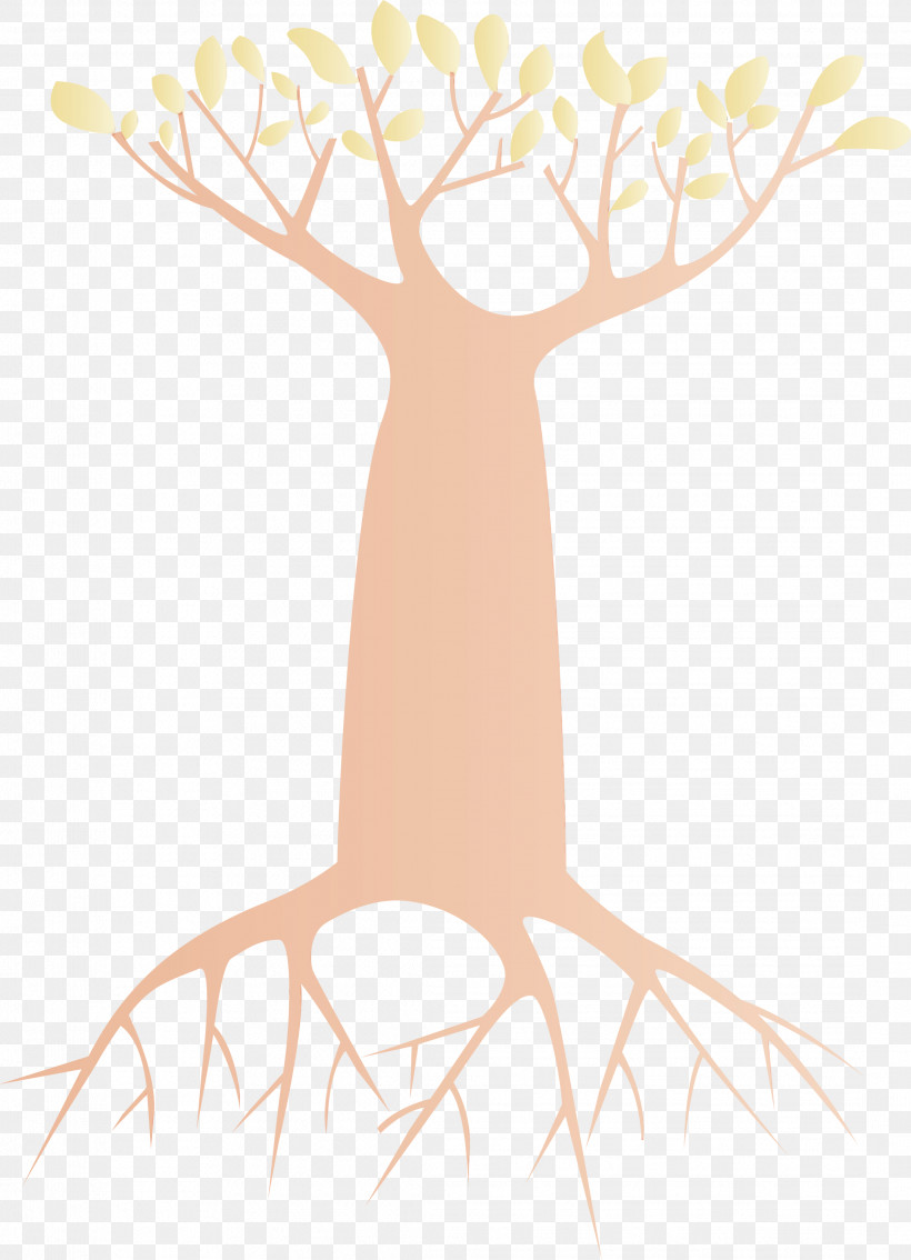 Root Branch Woody Plant Tree Trunk, PNG, 2168x3000px, Cartoon Tree, Abstract Tree, Branch, Leaf, Line Art Download Free