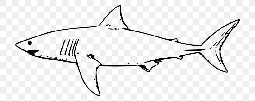 Great White Shark Hammerhead Shark Bull Shark Clip Art, PNG, 800x324px, Shark, Artwork, Black And White, Bull Shark, Cartilaginous Fish Download Free