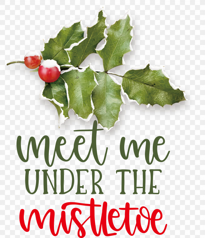 Meet Me Under The Mistletoe Mistletoe, PNG, 2582x3000px, Mistletoe, Aquifoliales, Biology, Fruit, Holly Download Free