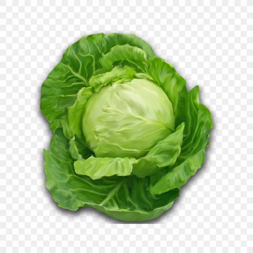Cabbage Leaf Vegetable Vegetable Iceburg Lettuce Lettuce, PNG, 1200x1200px, Cabbage, Iceburg Lettuce, Leaf, Leaf Vegetable, Lettuce Download Free