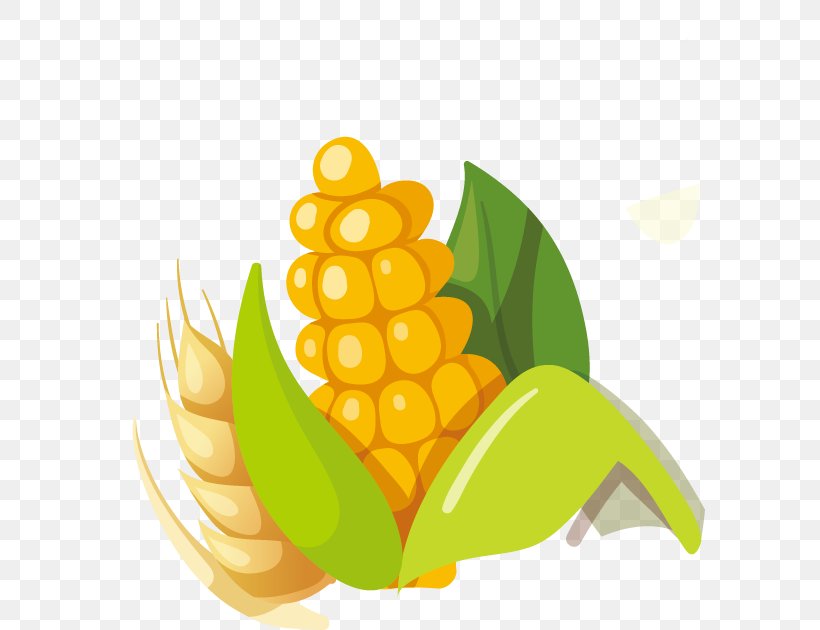 Corn On The Cob Maize Corn Kernel, PNG, 800x630px, Corn On The Cob, Ananas, Animation, Bromeliaceae, Commodity Download Free