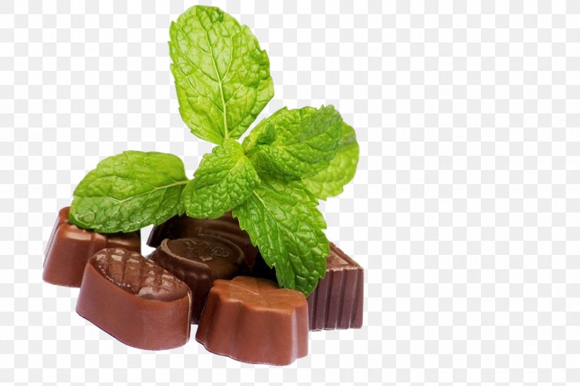 Dark Chocolate Mint Chocolate, PNG, 900x599px, Chocolate, Candy, Chocolate Mint, Dark Chocolate, Flowerpot Download Free